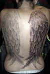 Angel wings tattoos design images